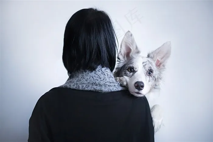 趴在美女肩上可爱狗狗图片