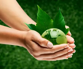 关于绿色环保的图片