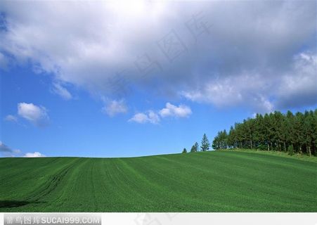 一望无际的原野