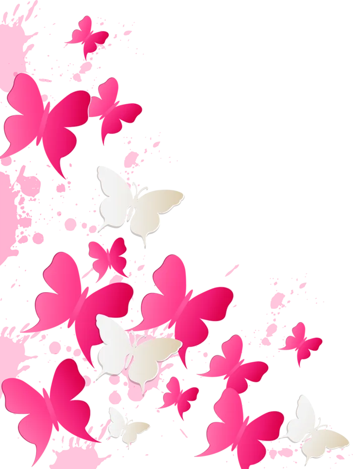 蝴蝶飞舞情人节