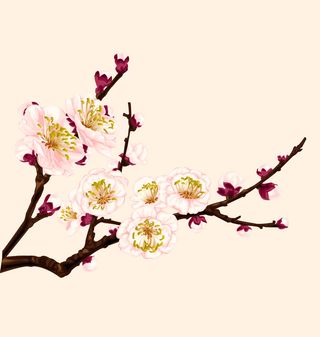 中国山水画水墨图案素材28