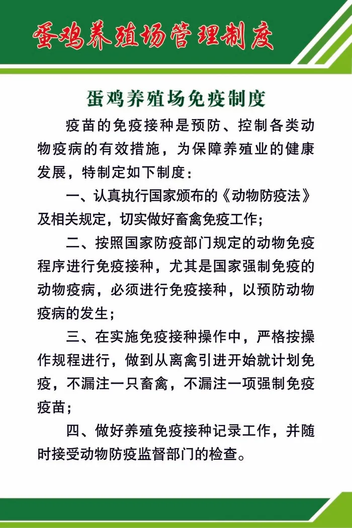 蛋鸡养殖场免疫制度psd模版下载