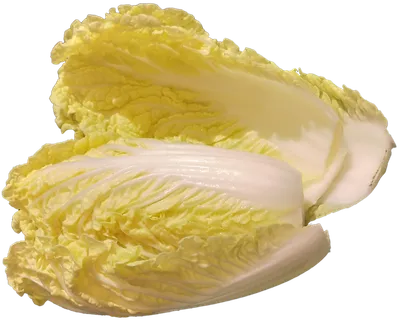 娃娃菜免抠摄影元素素材 