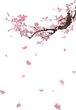 树木树枝树叶免扣素材