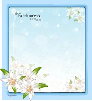 手绘花卉装饰边框背景