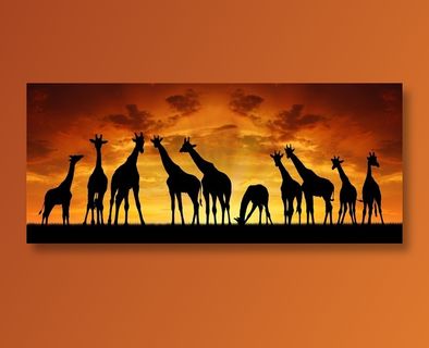 美丽的非洲草原动物剪影大图