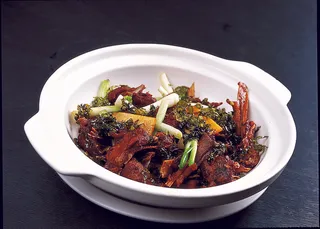 CXC01036干迫野鸭 88