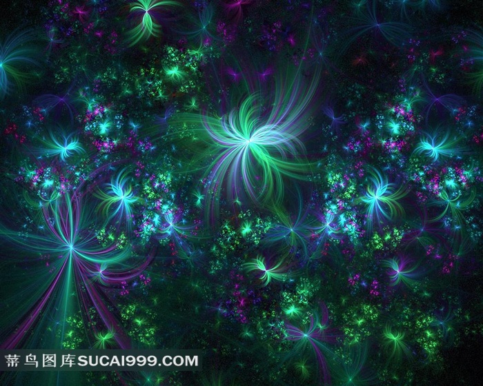 绚丽时尚花纹壁纸