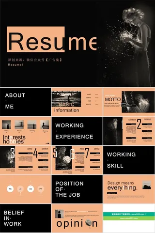 欧美范文艺个人简历PPT模板