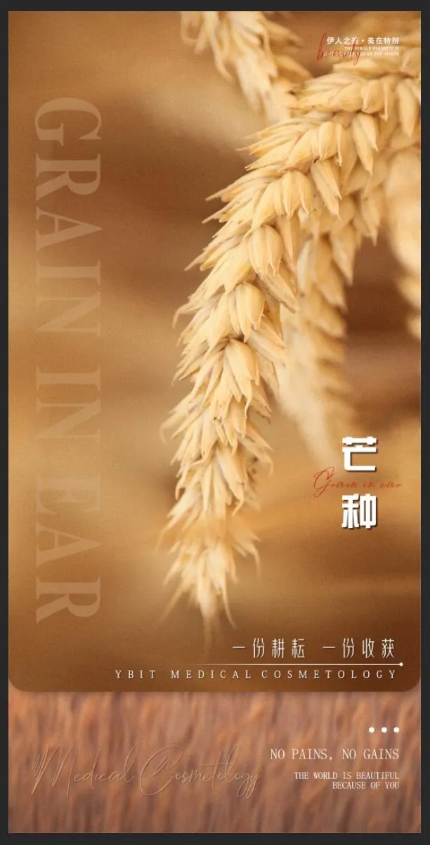 医美芒种海报psd模版下载