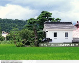 日本乡村园林图片