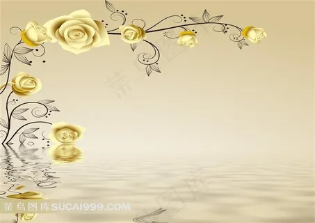 水中倒影-玫瑰 水中倒影-玫瑰