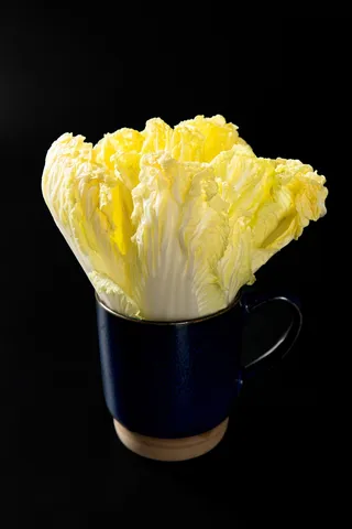 火锅菜品配菜小白菜娃娃菜白菜