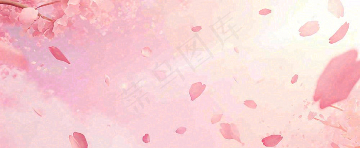 春天粉色樱花浪漫树枝花瓣花朵，阳光清新立春(1712x704)