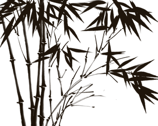 竹子水墨画中国风国画墨水书法竹子画