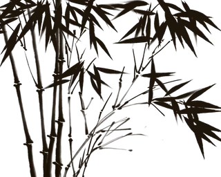 竹子水墨画中国风国画墨水书法竹子画