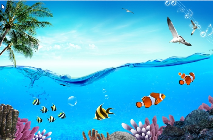 大海椰子鱼群背景墙