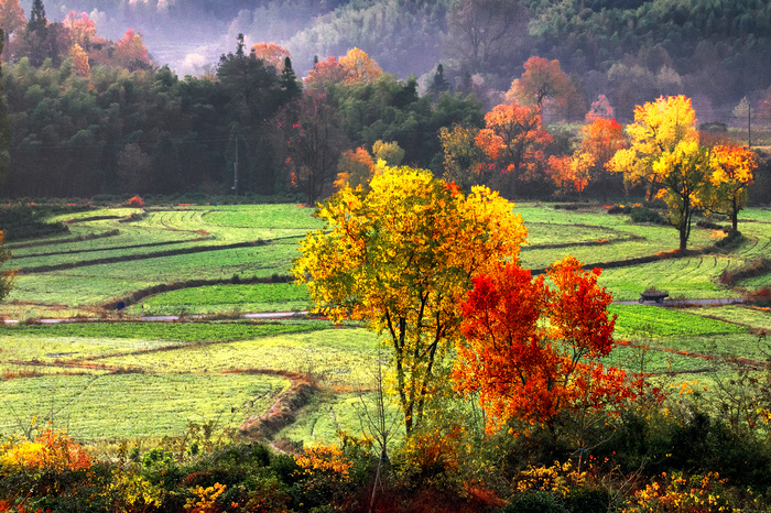 安徽塔川风景图片-第5张