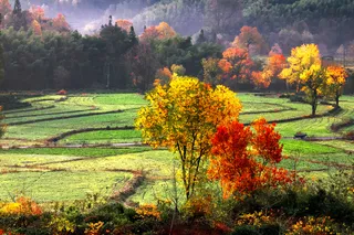 安徽塔川风景图片-第5张