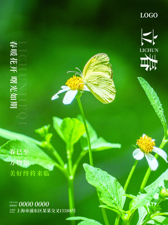 24节气立春春季新春春天海报模板PSD分层设计素材源文件模板psd模版下载