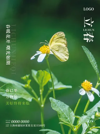 24节气立春春季新春春天海报模板PSD分层设计素材源文件模板