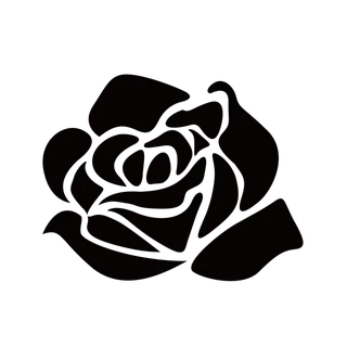 手绘玫瑰花黑色免扣