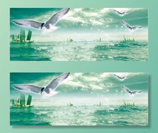 海鸥飞翔 海鸥 飞翔 蓝天 大海 拼搏