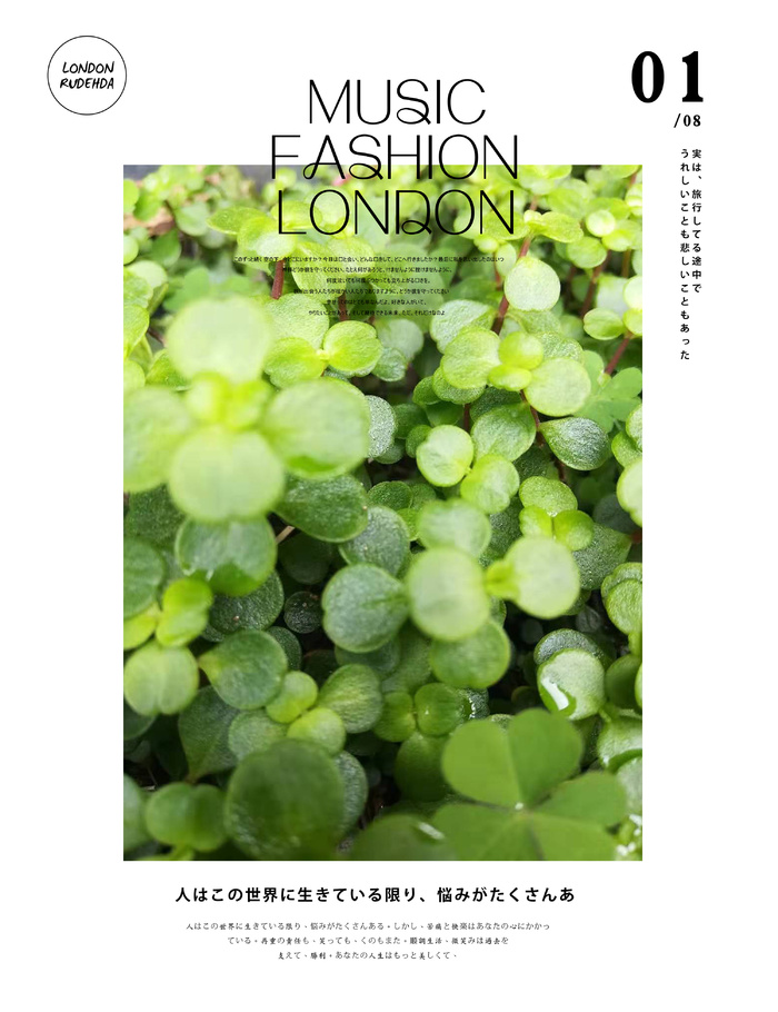 植物文艺小清新海报模板日系排版03