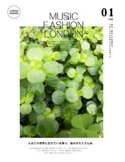 植物文艺小清新海报模板日系排版03