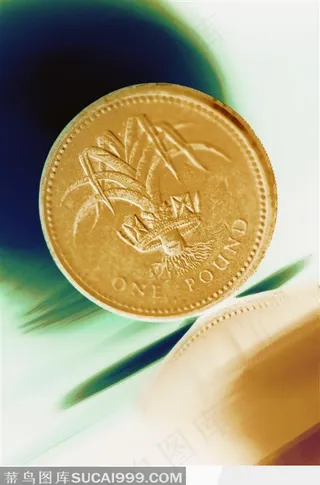 直立的单个硬币