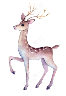 水彩插画-小鹿2