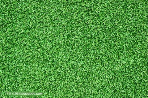 草地草坪球场高清图片
