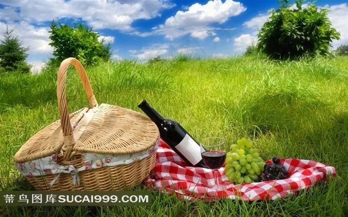 编织篮子葡萄酒摄影素材