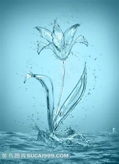 精美水花组成的花朵图片高清图片