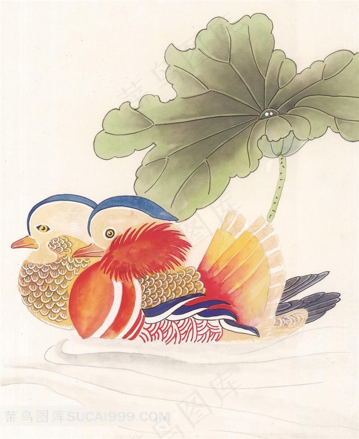 高清鸳鸯绘画图片