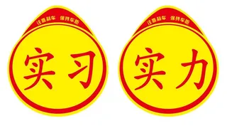 矢量实习实力标志