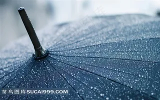 高清雨伞摄影素材