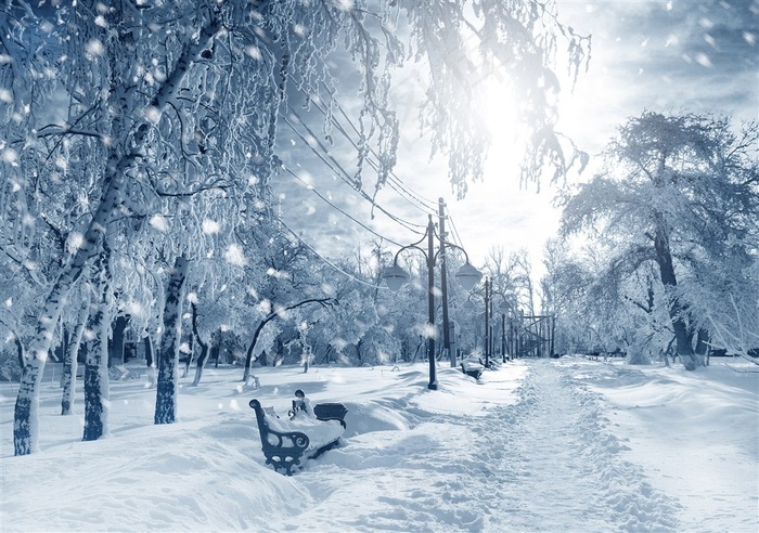 雪天道路两旁风景高清图