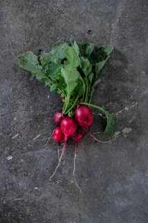 东北红皮萝卜图片 东北红皮萝卜图片