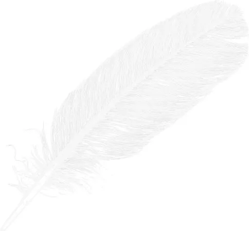 羽毛 PNG免抠(1250x1158)
