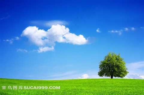 蓝天白云风景树 蓝天白云风景树