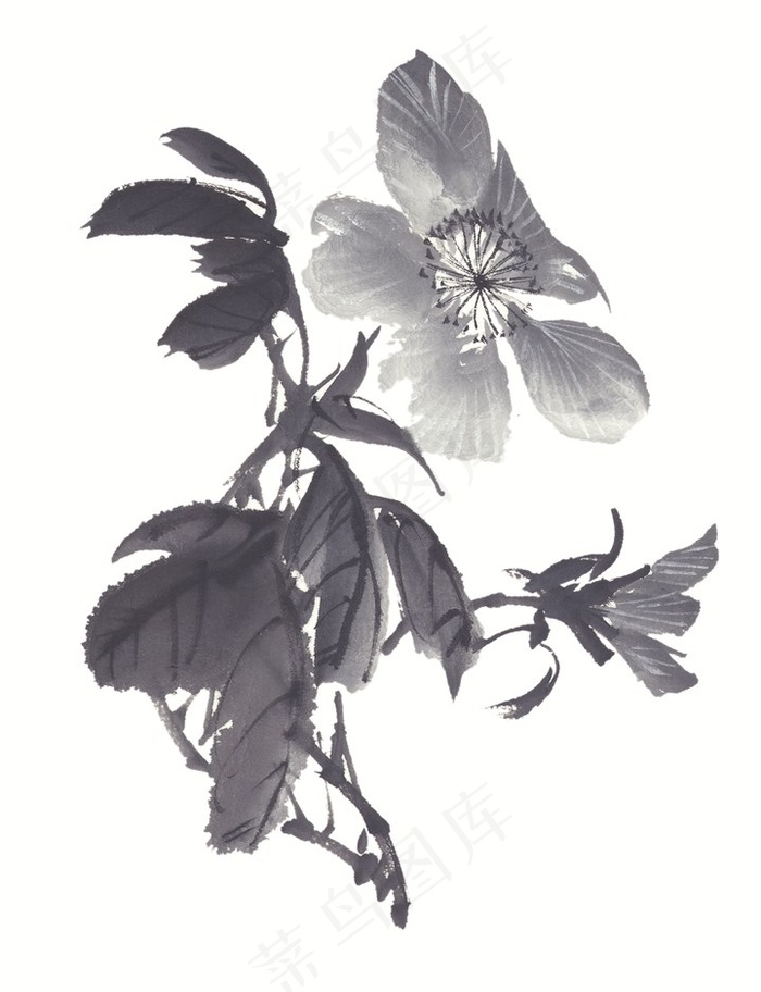 写意花卉美术绘画图片素材