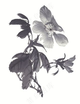 写意花卉美术绘画图片素材