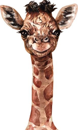 长颈鹿 PNG免抠