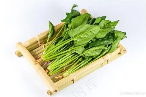 白底竹筐装新鲜菠菜