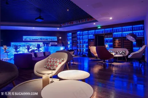 奢华的酒吧娱乐会所