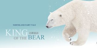 北极熊白雪蓝色背景