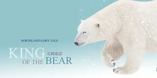 北极熊白雪蓝色背景