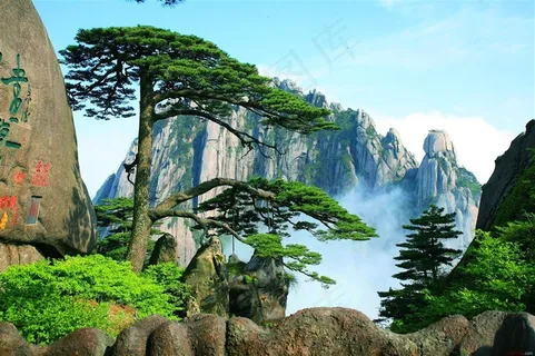 黄山迎客松美景摄影图片 黄山迎客松美景摄影图片