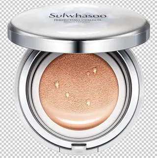 化妆品素材雪花秀美白品牌气垫